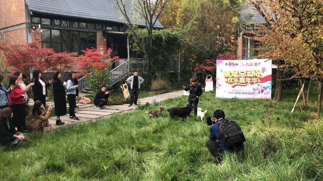 10月24日弗尔莱葆宠物乐园萌宠训导嘉年华活动隆重举行