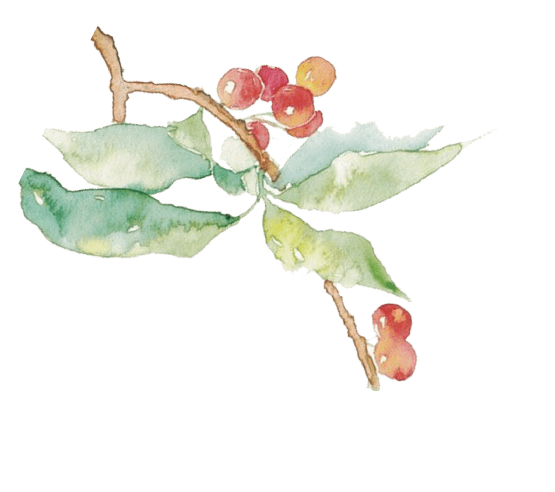 会计系本科结业论文培训大会:ky开元(图2)
会计系本科结业论文培训大会:ky开元(图2)