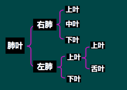 纵隔|读完此文，终于学会看胸片了