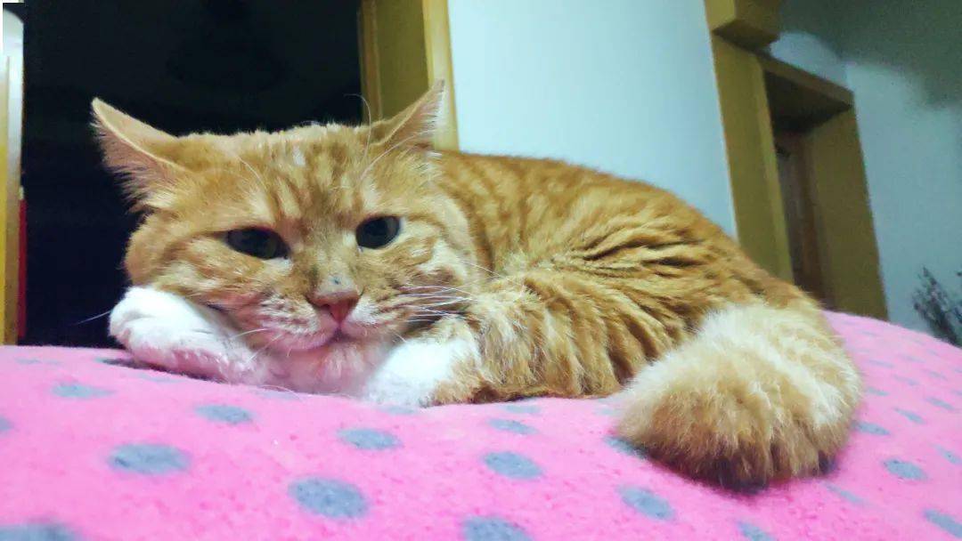 夏天|十月小结 | 这里有一份秋日温柔待查收!