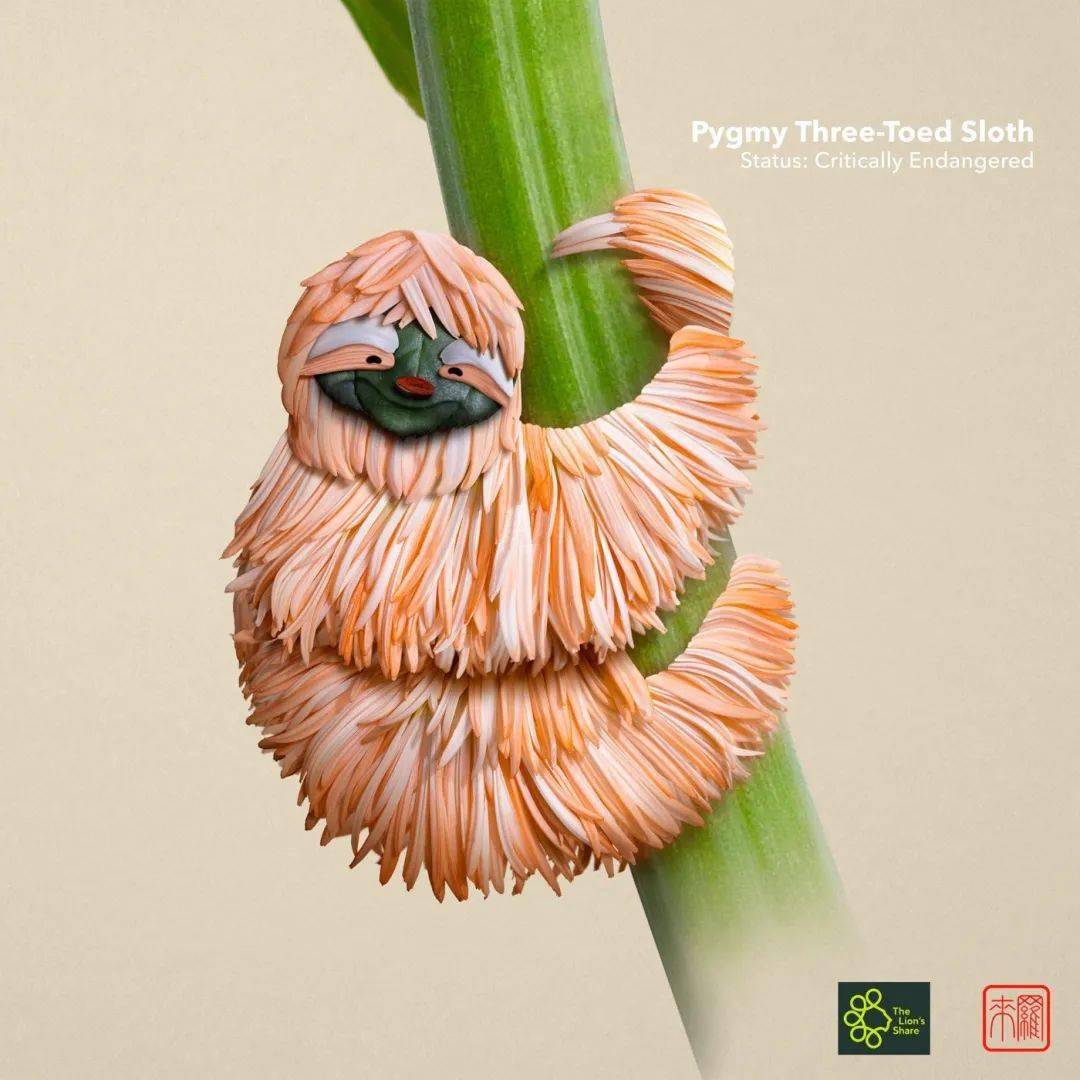 井上罗|花卉版的时尚品牌！