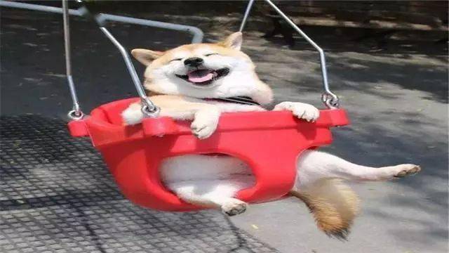 bc812a641f474499970585f456e6764f.jpeg