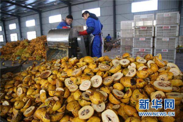 酒什么桃成语_成语故事简笔画
