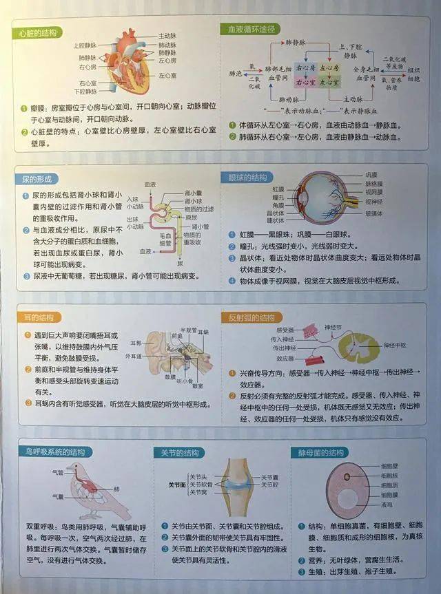 41acb9aceea24cac9f6a9ca3a27b51b6.jpeg
