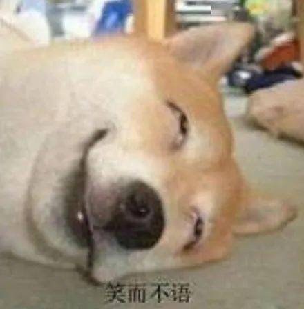 柴犬遭撸脸袭击狗子拿开你的臭脚咦这是什么操作好酸爽啊