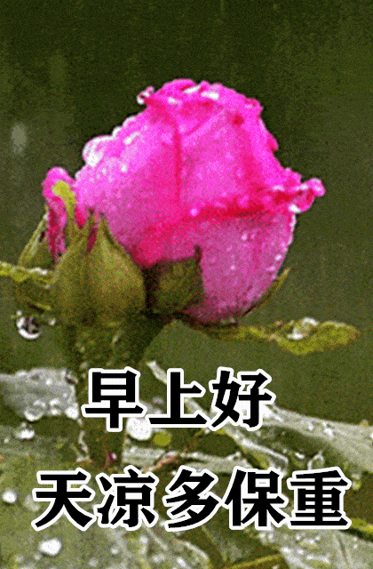 10月26日最漂亮动态表情图片大全