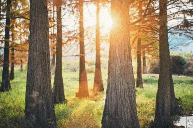 乐行族提供专业教练相伴,在微风中, 喝着现煮的热咖或红茶,欣赏着湖中
