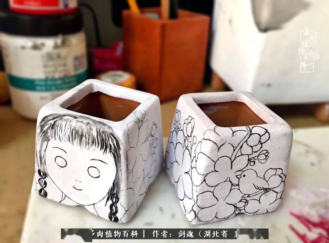 当美丽的多肉邂逅漂亮的手绘花盆,会是怎样的一种美?