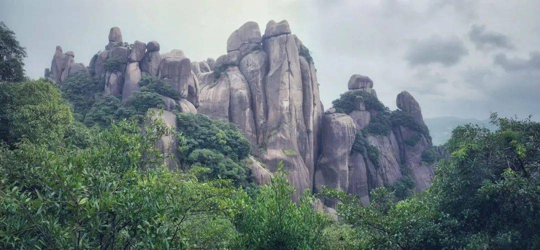 有幸走进白茶的故乡,福建福鼎太姥山,一座有趣的山.