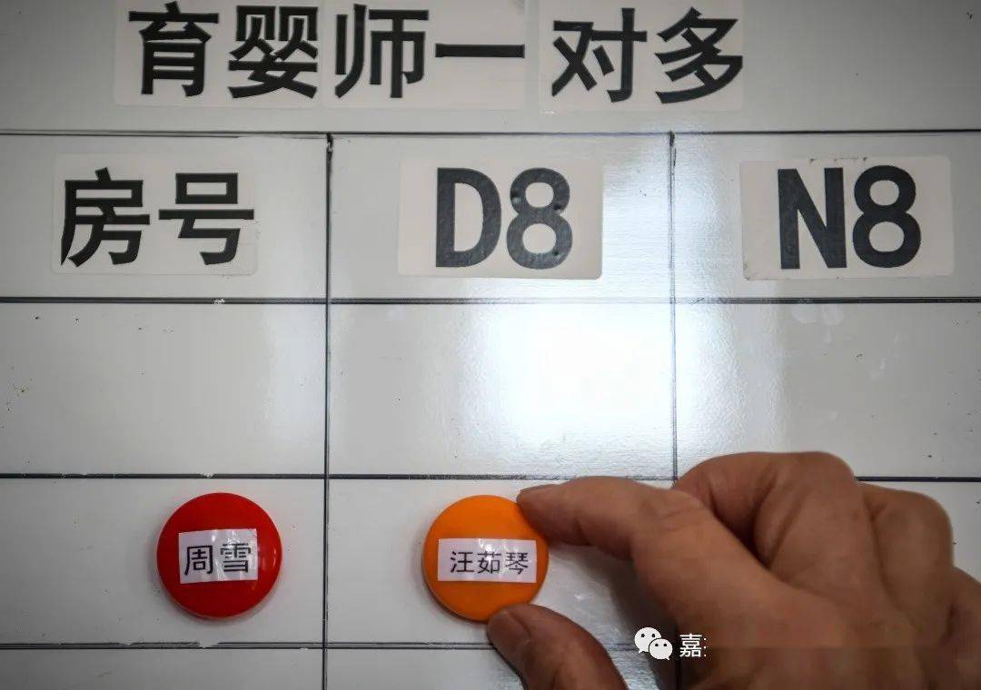 嘉视觉·视觉1+1(最新发布)