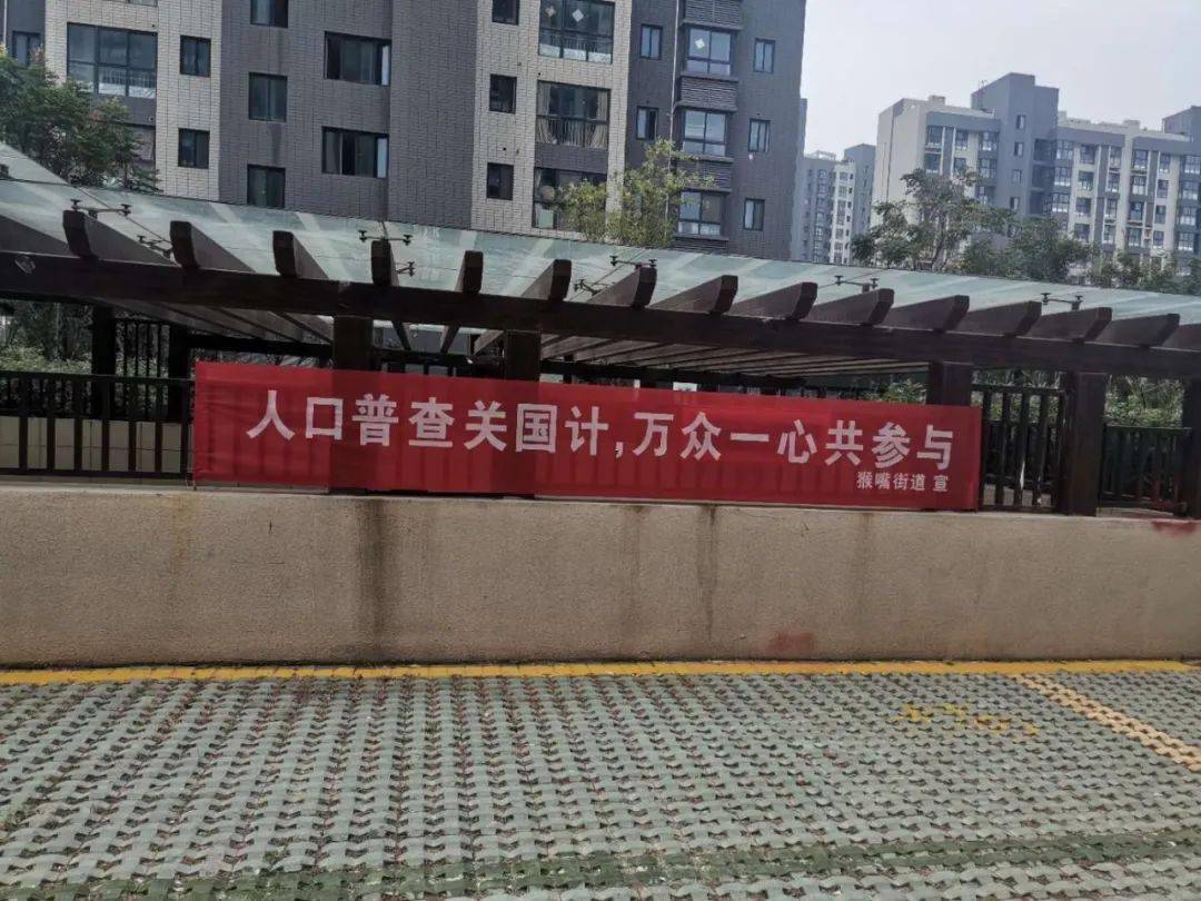 街道第七次全国人口普查方案_第七次全国人口普查(3)