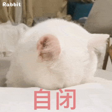 欧气|幸运来了千万不要嘚瑟，不然洗出七绝不修也不会让人快乐…