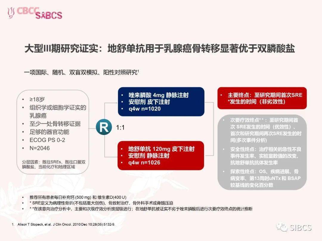 乳腺癌骨转移治疗新希望—地舒单抗