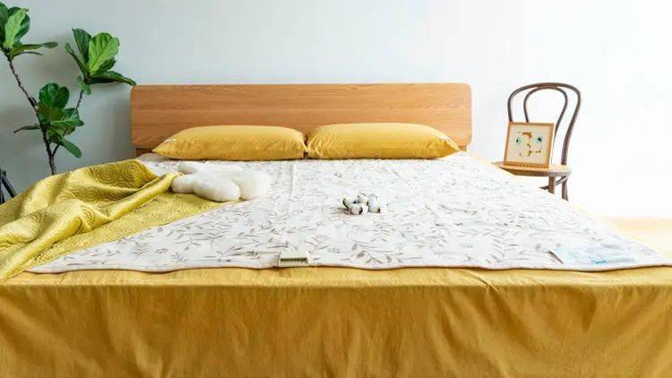 舒适睡觉电热毯 e340c00a2e8447418763ed2027218dab.jpeg