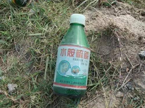 这4种高毒农药已被禁用违规使用后果严重