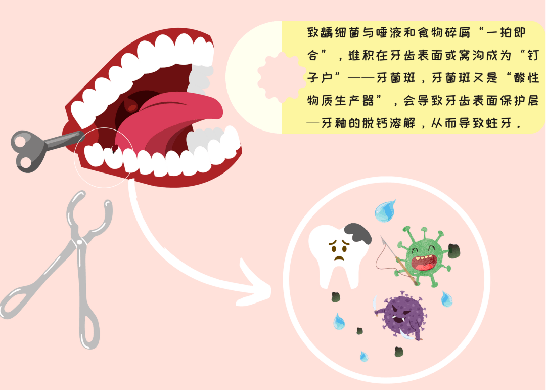 口腔护理的这些好物都被我找到了!