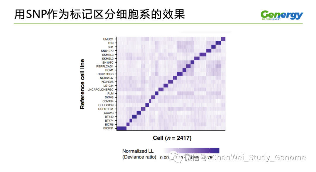 细胞疗理仪是什么原理_雾疗是什么