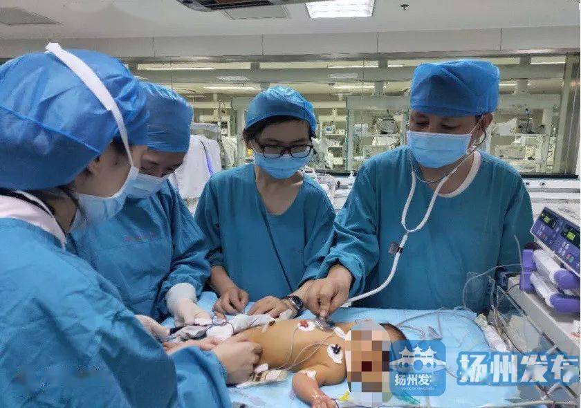 熊猫血 5763d01f77eb4fb6825eec89752b35ce.jpeg