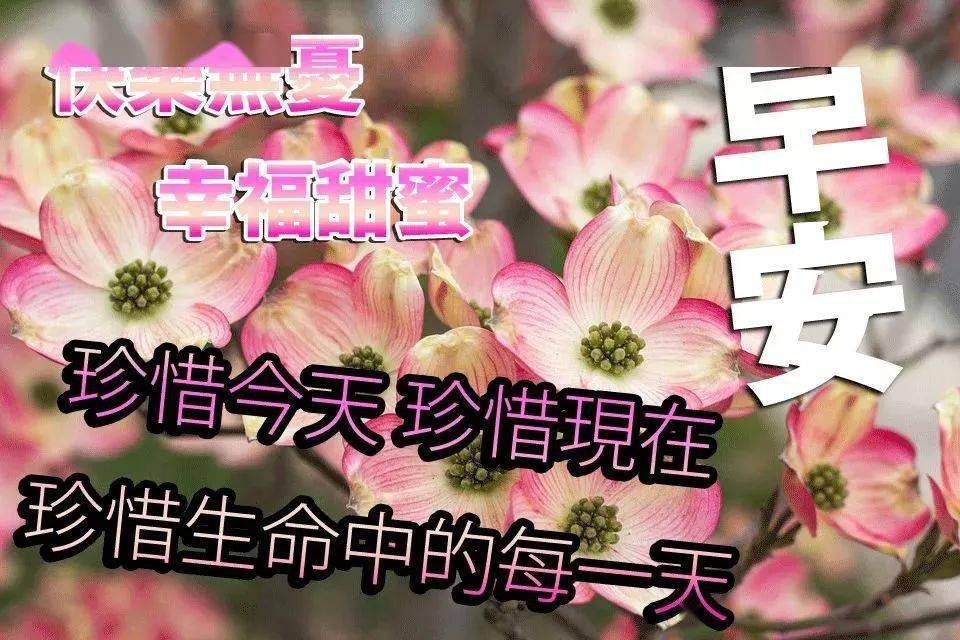 中老年早上好表情包：朋友圈新版早晨好祝福图片半岛体育大全 非常好看的唯美温馨的早安图片带字(图6)