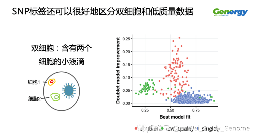 细胞疗理仪是什么原理_雾疗是什么(2)