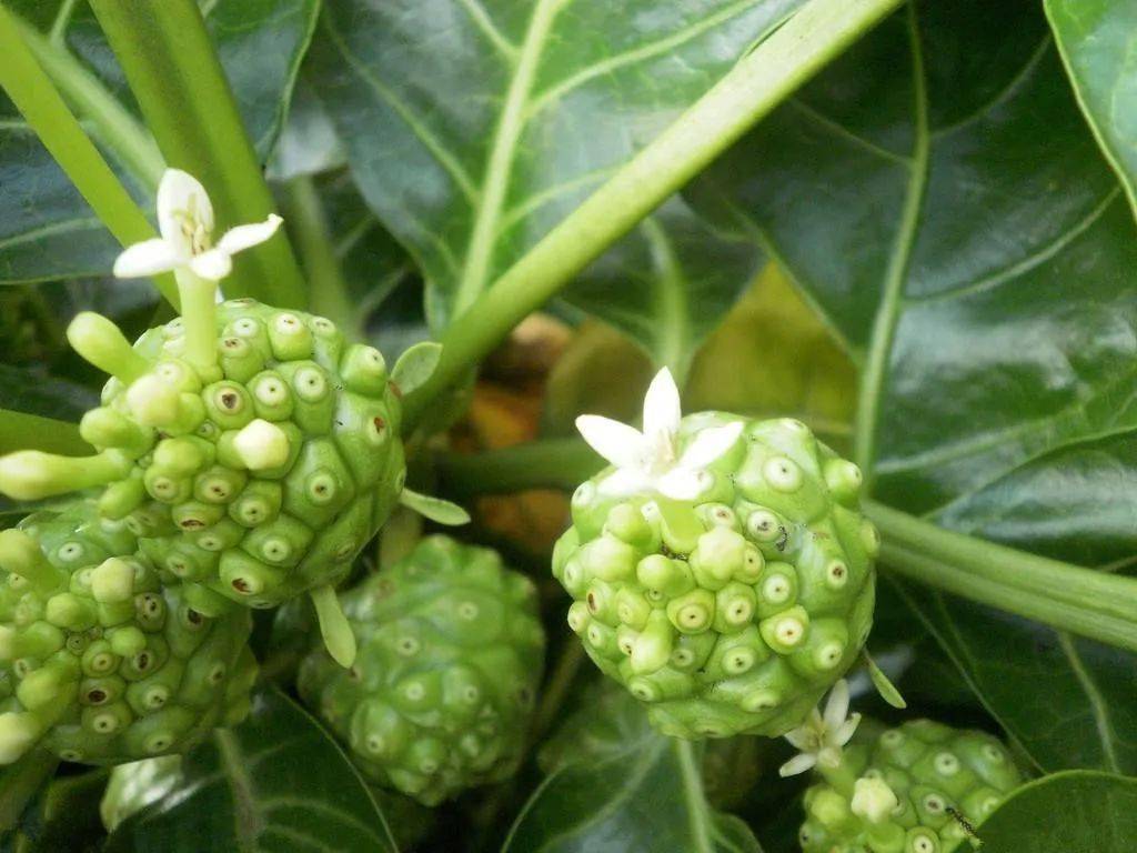 新垣结衣|说起“治愈系”，你会想到？