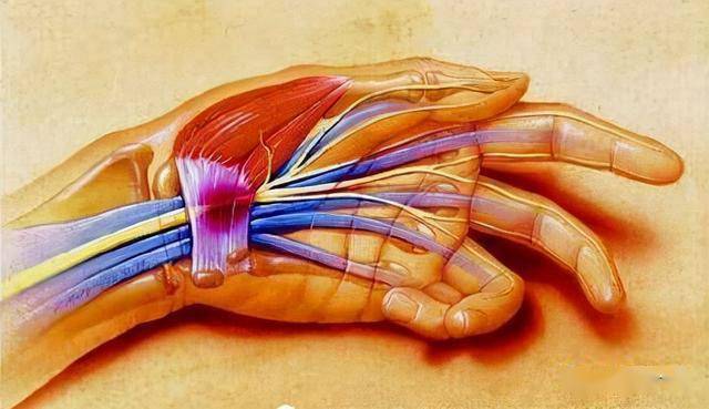 闭合性损伤,如手肌腱血管神经断裂,手指肌腱粘连及手臂的 拉伤等等