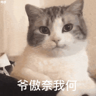 表情包大全 | 值得收藏的表情包_包动图