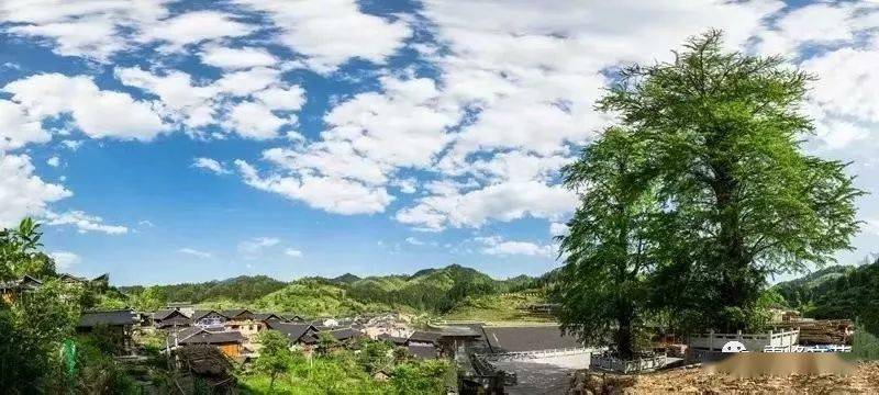 湖南省洞口县农村人口_湖南省洞口县佳和沃府(3)