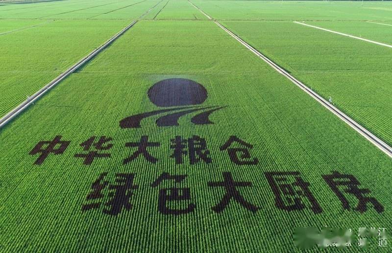 "北大荒现代化大农业主题摄影作品展"在北京国际摄影周展出