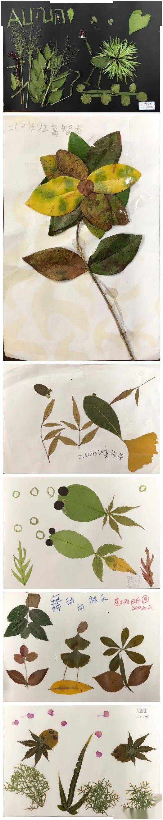 建新小学公民节:树叶贴画参展作品欣赏(二)