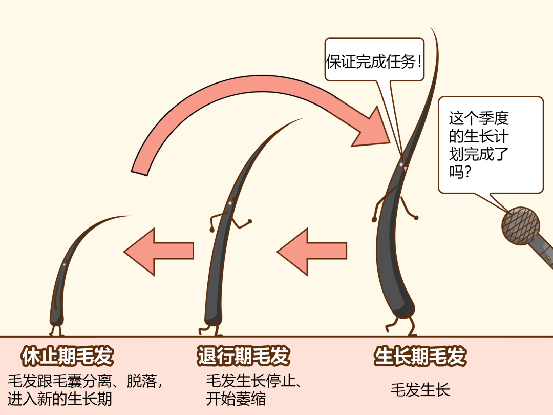 毛发|揭 秘 秋 冬 女 孩 「 身 体 の 小 心 机 」