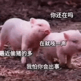 fac2535e789f4799a4dc55721234e235.gif
