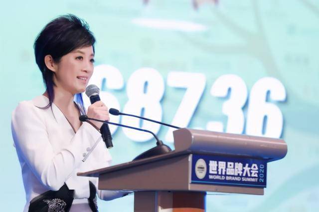凤凰卫视著名主持人 许戈辉 介绍参会嘉宾)