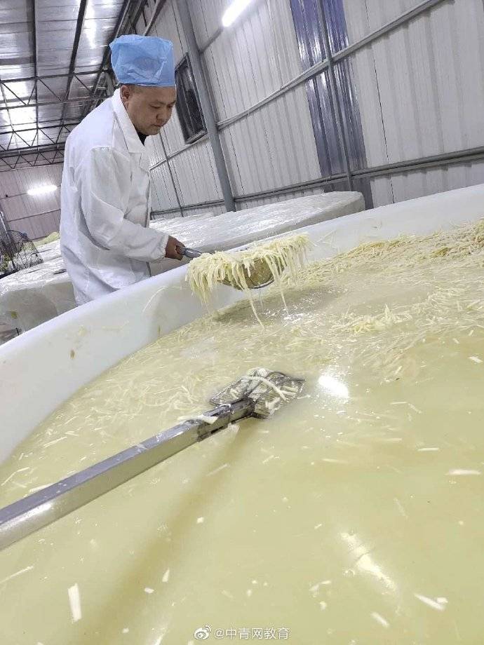 螺蛳|年薪50万！“螺蛳粉闻臭师”日闻酸笋300吨