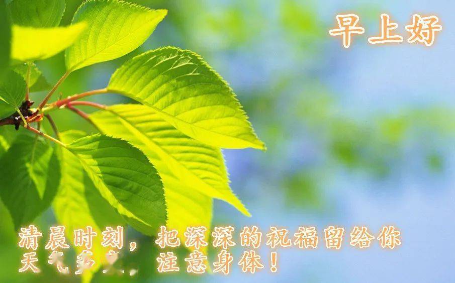 清晨 祝福_问候