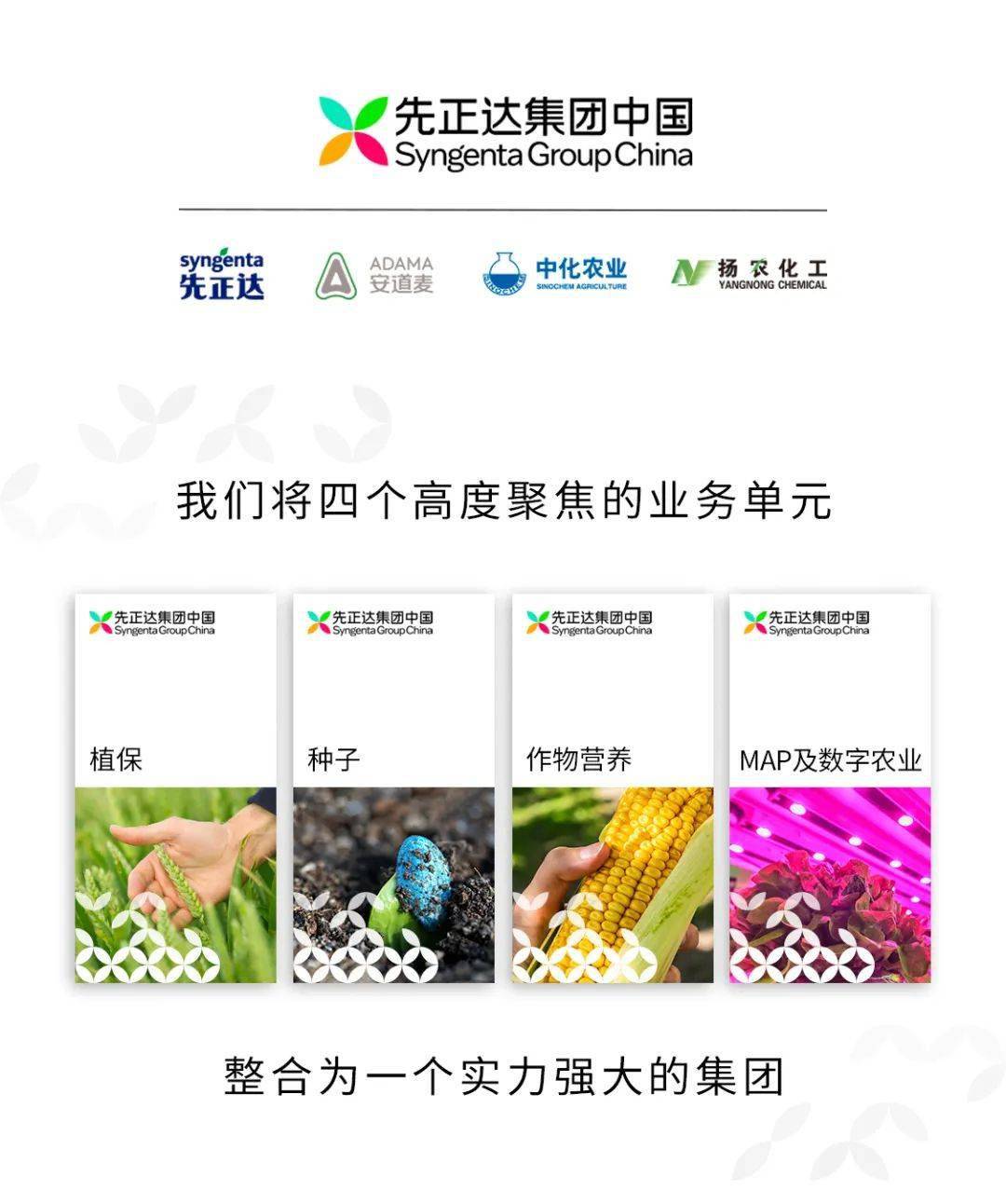 先正达集团中国发布全新品牌标识和视觉形象