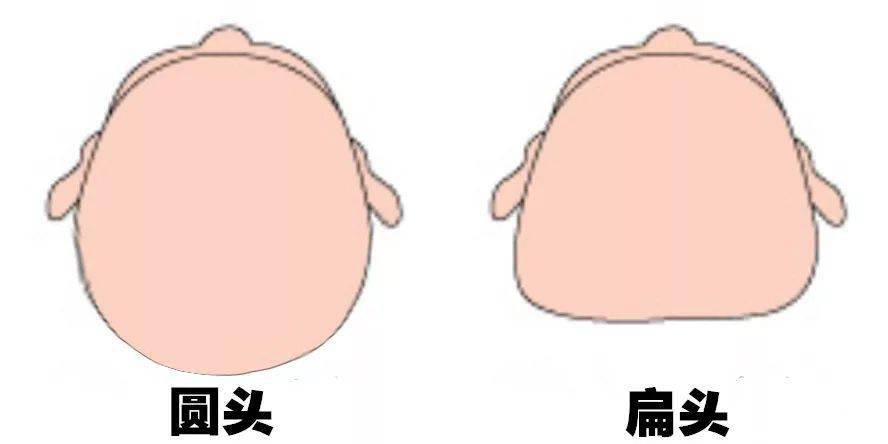 发型|天生扁头,各种发型丑哭了怎么办?教你一招,彻底摆脱发型困扰!