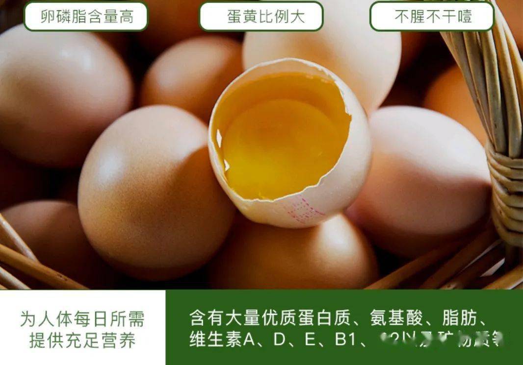 老杜崇明散养新鲜土鸡蛋蛋黄个大蛋清滑嫩一只不到2块钱