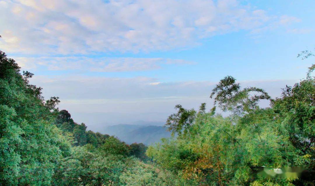 浮石大山脑莲花坞乡村旅游公路已完工!一定要来去走走