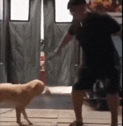 我这是遇到什么主人 现在换还来得及嘛 你这扎头发 差点把我送走