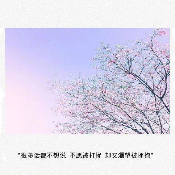 世间所有不尽人意之事 全靠硬扛_生活
