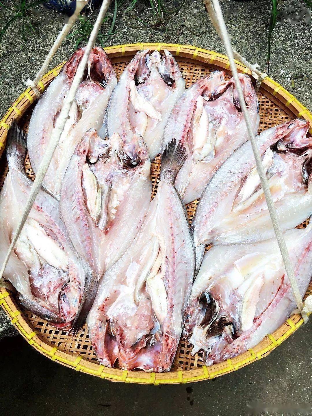 怎样晒鱼干好吃 cb7fe9c0af764c4aafac9e75762c6f83.jpeg