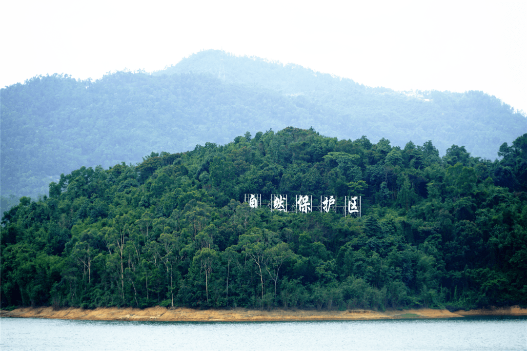 好消息!广东中山香山省级自然保护区获批设立