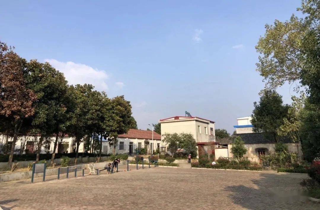 乡土桐城 省级美丽乡村清水塘村:人文清水 美丽家园