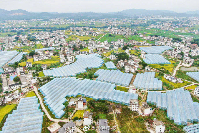 江西省于都县潭头村富硒土助民致富