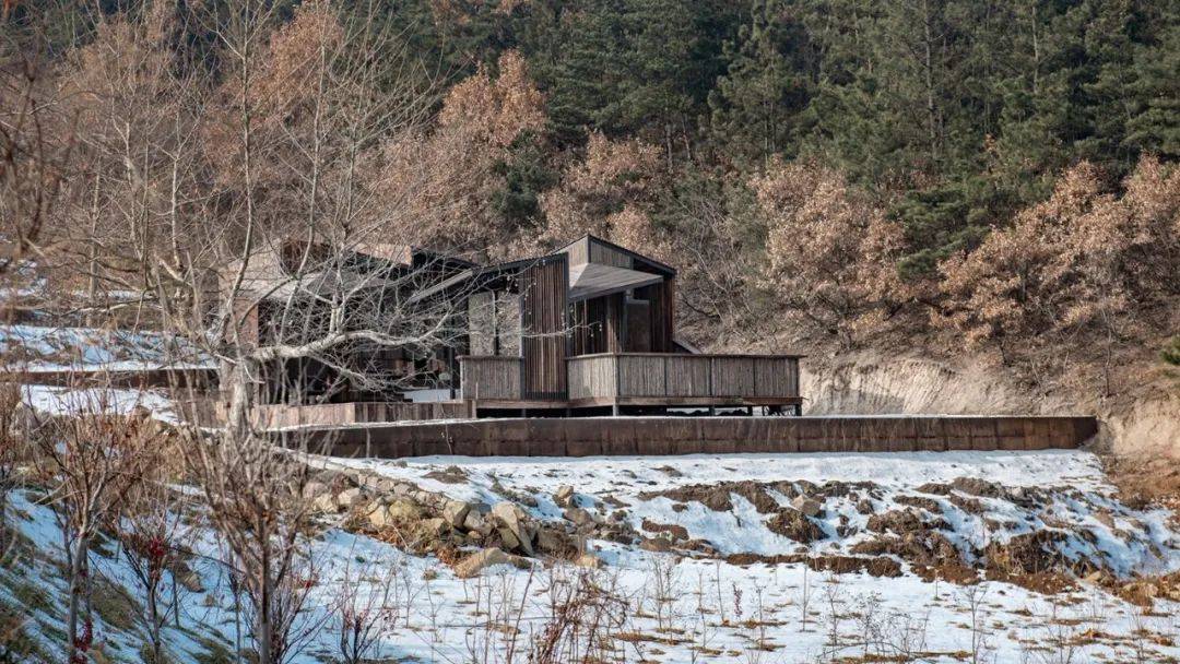 从大兴机场到“山之厕”,这些获奖建筑引领了中国潮流