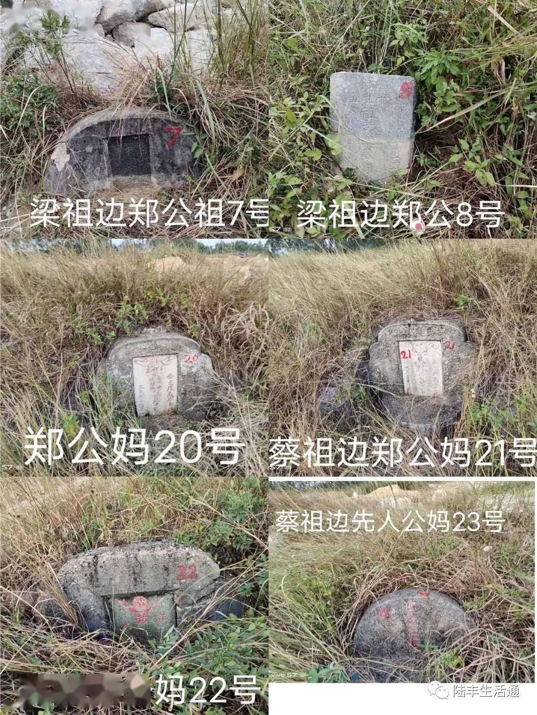 汕尾某社区这12处坟墓至今无人认领