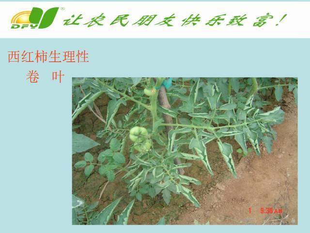 9fc00618c15043a3ab0e6041458bed26.jpeg
