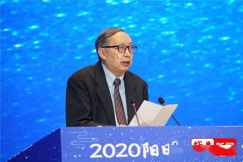 人口学会会长2020_人口老龄化图片(2)