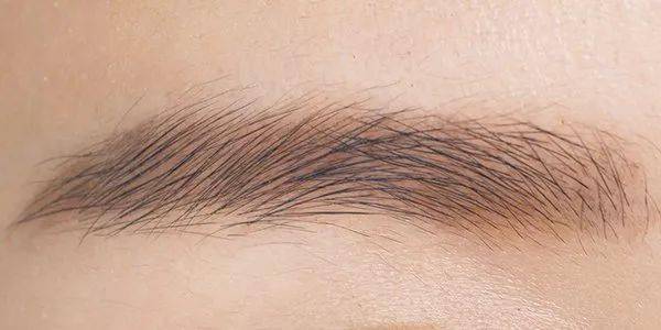 自然|只要你画对了，就是这个冬天最靓的仔